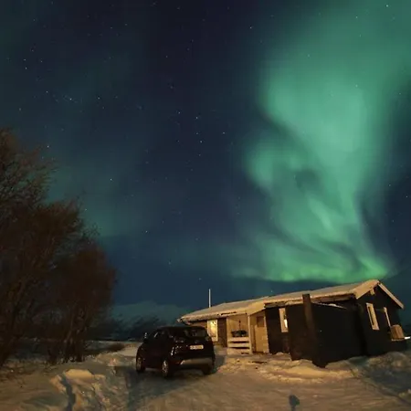 Cozy Cabin *